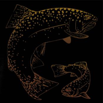 Pstruh duhový kulatý