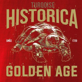 Turtle age