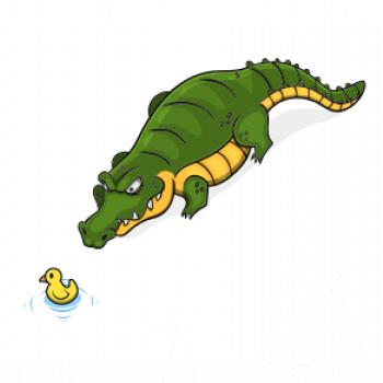 Krokodýl zelený s kačenkou