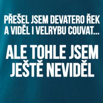 Viděl jsem velrybu couvat