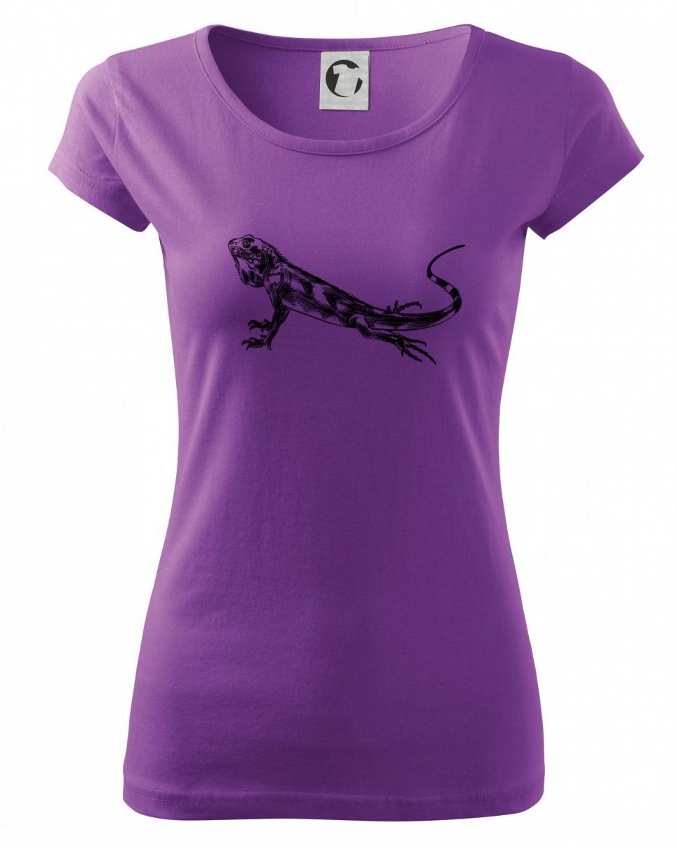 Tužkou kreslený Leguán 