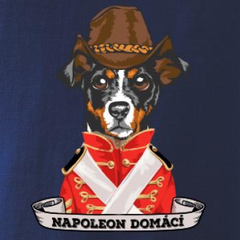 Napoleon domácí pes kříženec