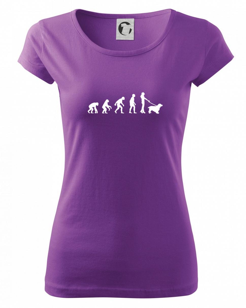 Evoluce pes kokršpaněl (muž-žena)