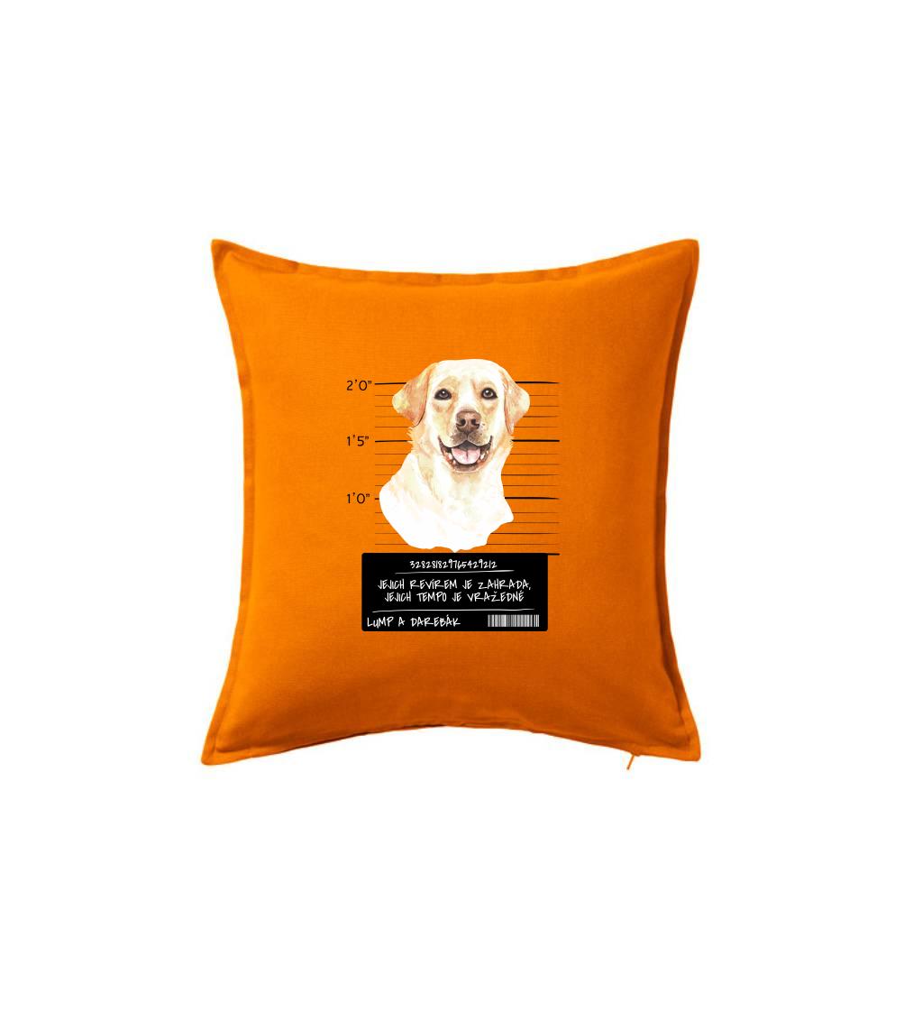 Lump a darebák labrador - Polštář 50x50