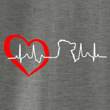 Bernský salašnický pes EKG