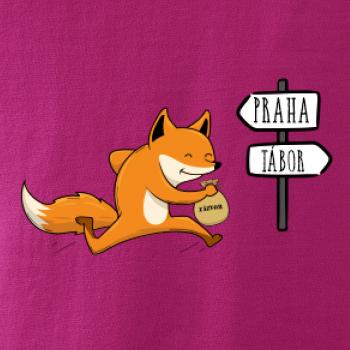 Běží liška k táboru