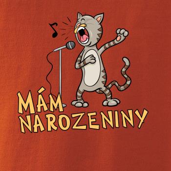 Mám narozeniny kočka