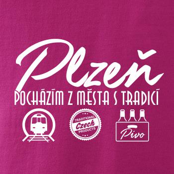 Plzeň město s tradicí