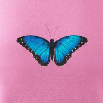Motyl babočka Morpho Peleides