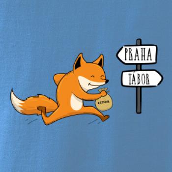 Běží liška k táboru