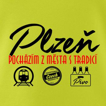 Plzeň město s tradicí