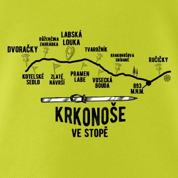 Krkonoše ve stopě