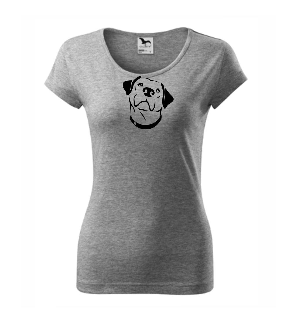 Labrador obrys Labrador obrys