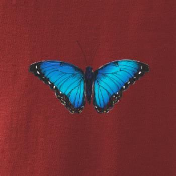 Motyl babočka Morpho Peleides