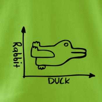 Duck Rabbit Duck Rabbit