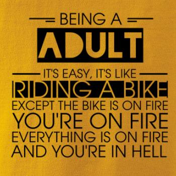 Being a adult - bike