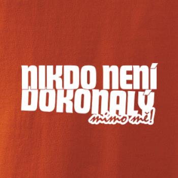 Nikdo není dokonalý mimo mě
