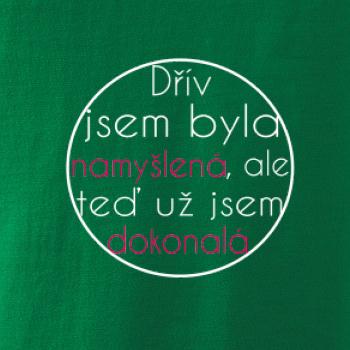 Dokonalá kruh