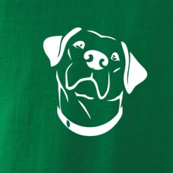 Labrador obrys
