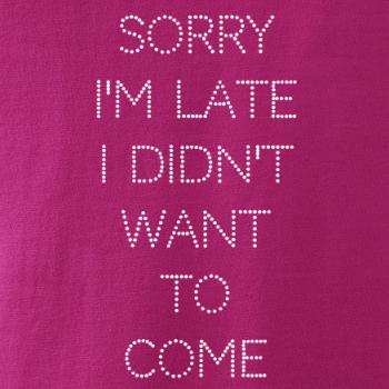 Sorry I am late i didn't want to come Sorry I am late i didn't want to come