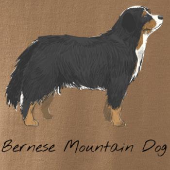 Bernese mountain dog kreslený
