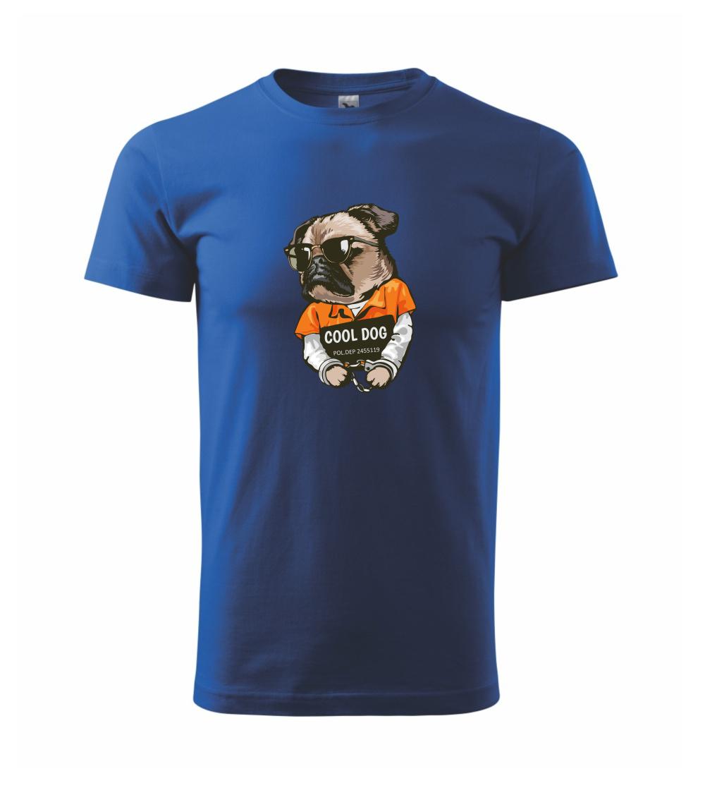 Mops výtržník Mops výtržník