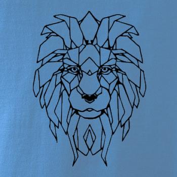 Geometrie - lev tvář