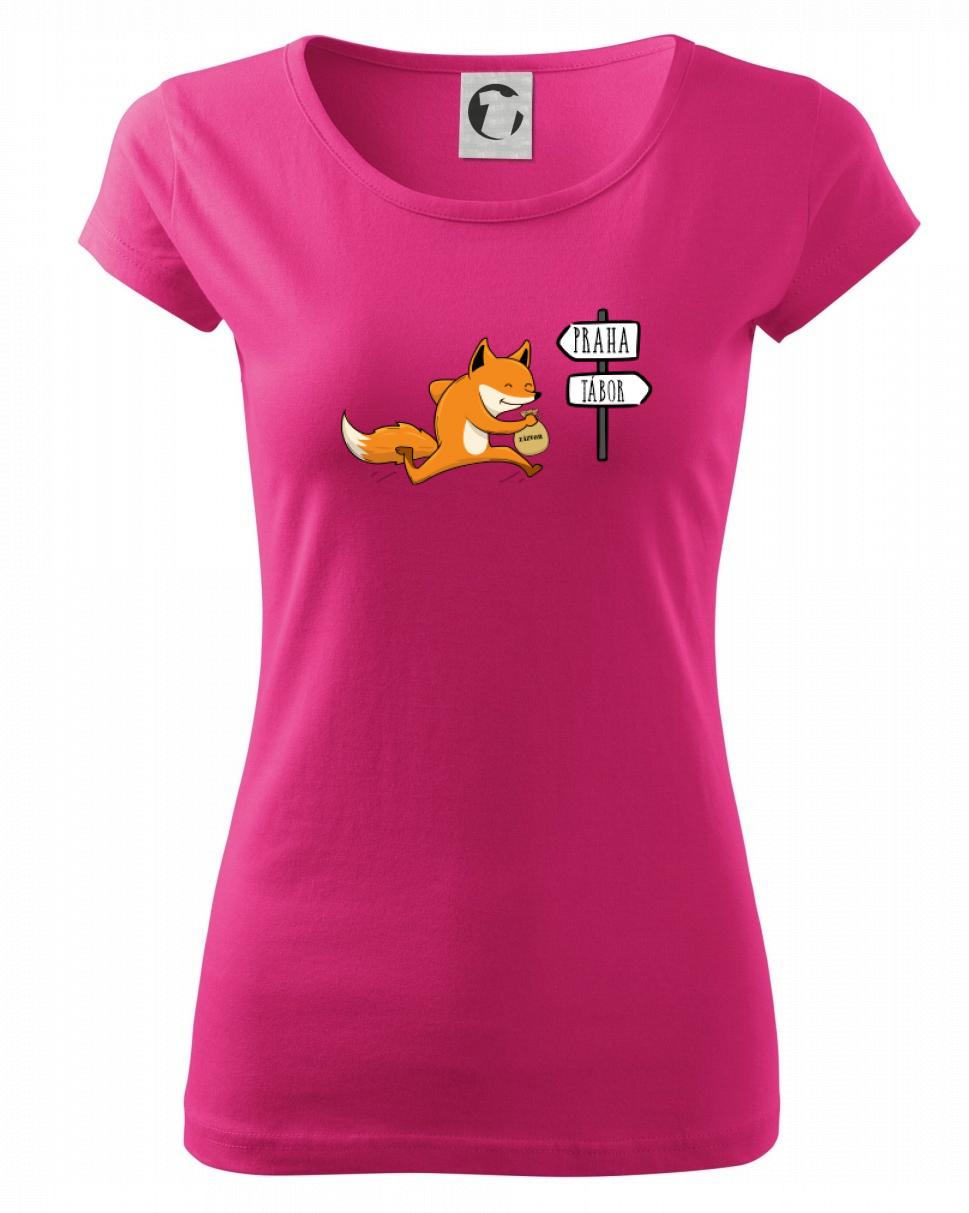 Běží liška k táboru