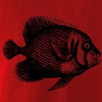 Mořská ryba kreslená