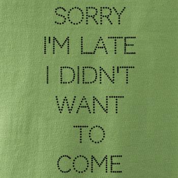 Sorry I am late i didn't want to come