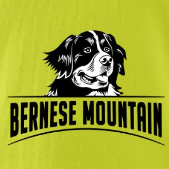 Bernese mountain - hlava a nápis