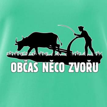 Občas něco zvořu