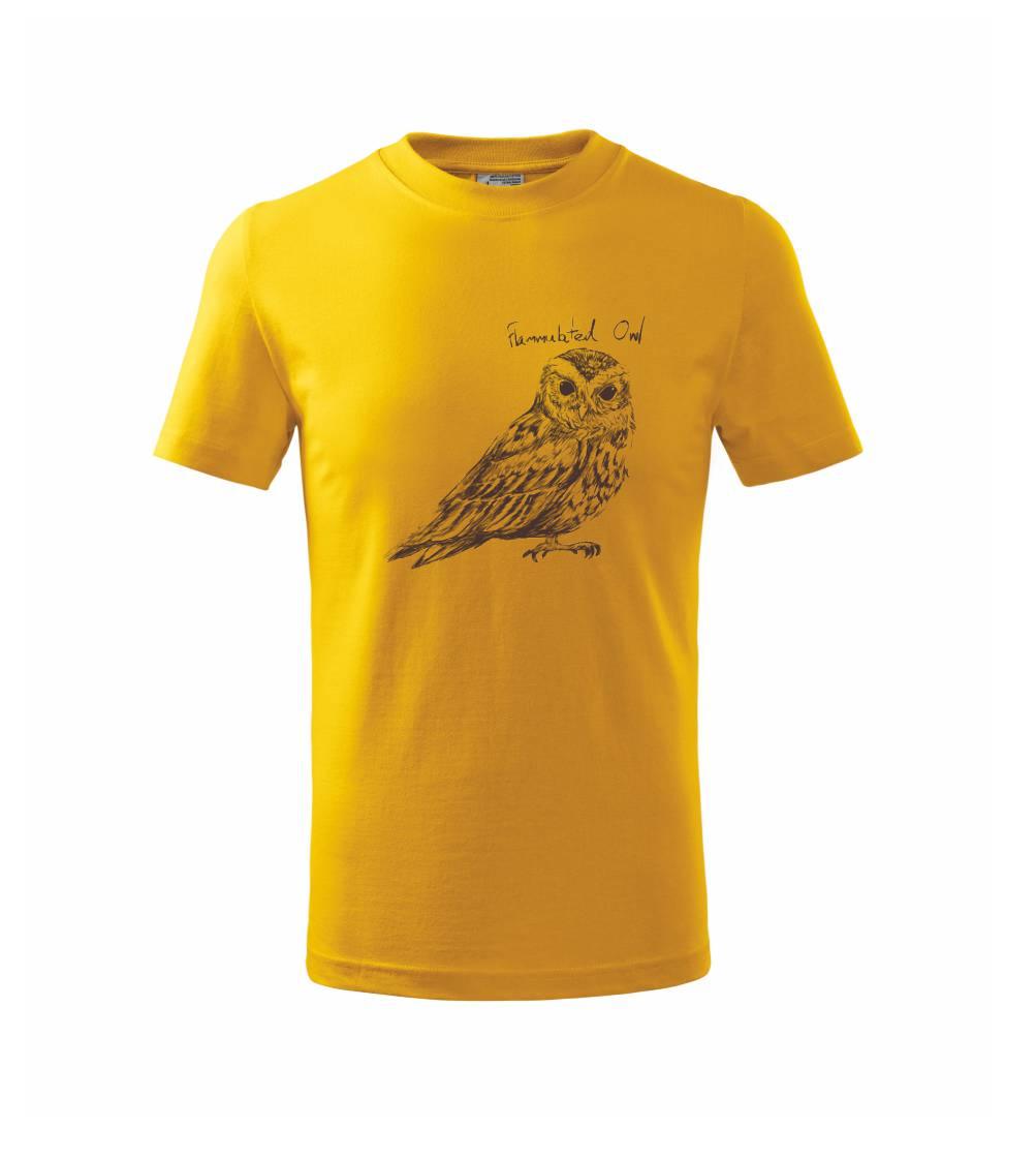 Výreček plaménkový flammulated owl