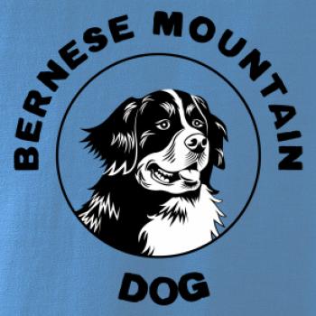 Bernese mountain dog v kruhu