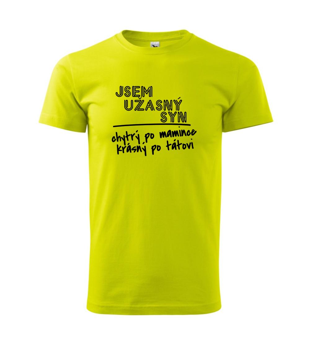 Jsem úžasný syn Jsem úžasný syn