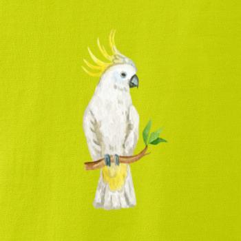 Papoušek Kakadu kreslený