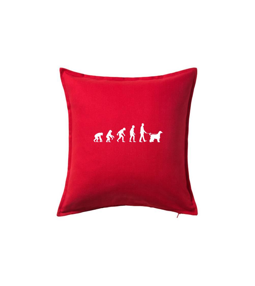 Evoluce pes afgánský chrt (muž-žena)