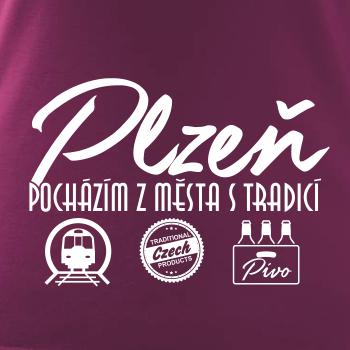 Plzeň město s tradicí