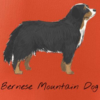 Bernese mountain dog kreslený