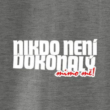 Nikdo není dokonalý mimo mě