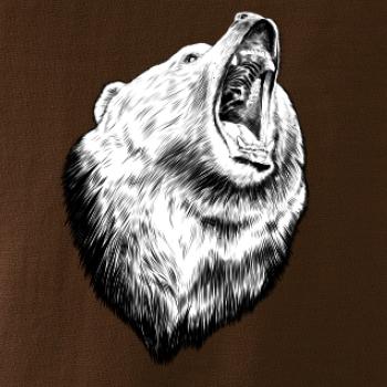 Medvěd trošku naštvaný