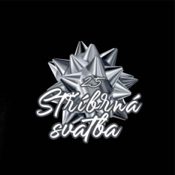 Stříbrná svatba 25