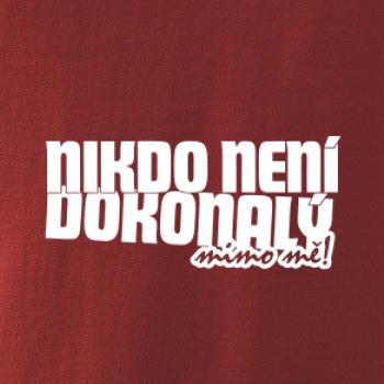 Nikdo není dokonalý mimo mě