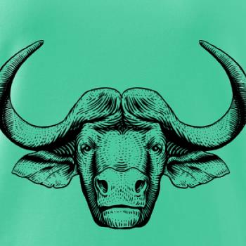 Hlava býka kreslená