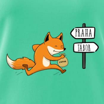 Běží liška k táboru