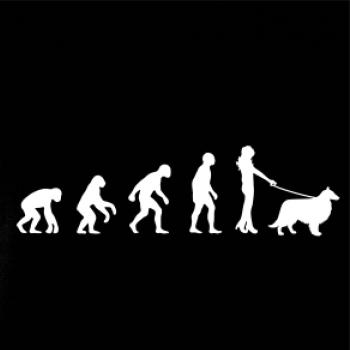 Evoluce pes Sheltie (muž-žena)