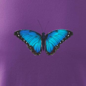 Motyl babočka Morpho Peleides