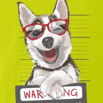 Husky - beware of dog