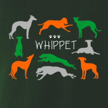 Whippet barevný