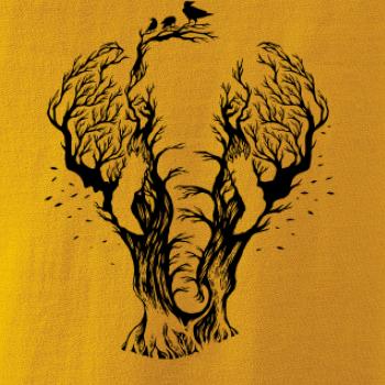 Slon ilustrace